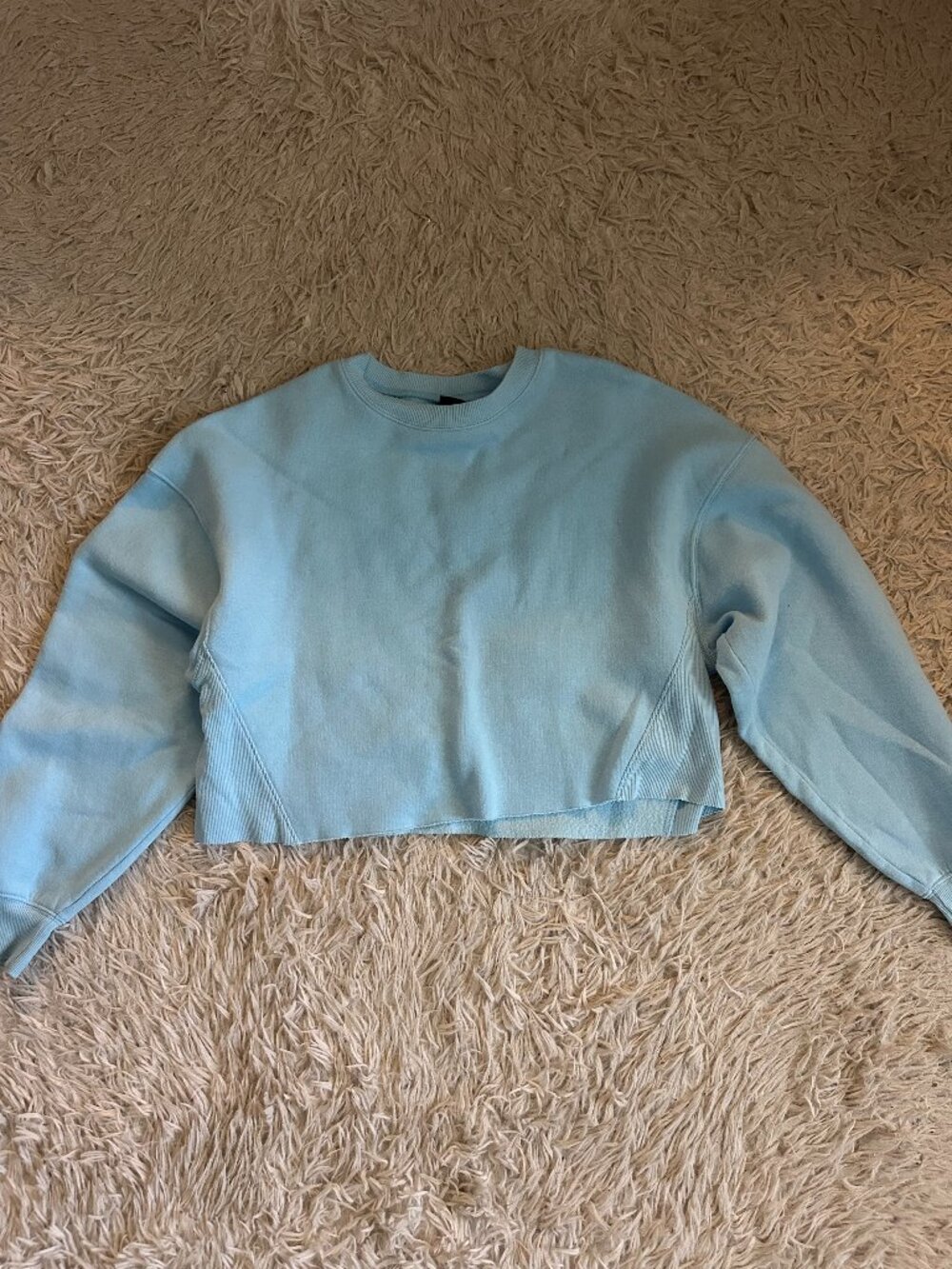 WildFable Light Blue Cropped Crewneck